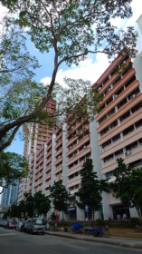 Blk 640 Rowell Road (Central Area), HDB 3 Rooms #343222